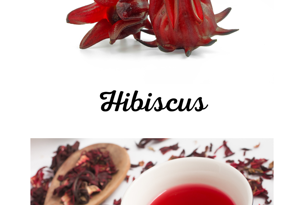 Découvrez l’hibiscus, la fleur appréciée en cuisine