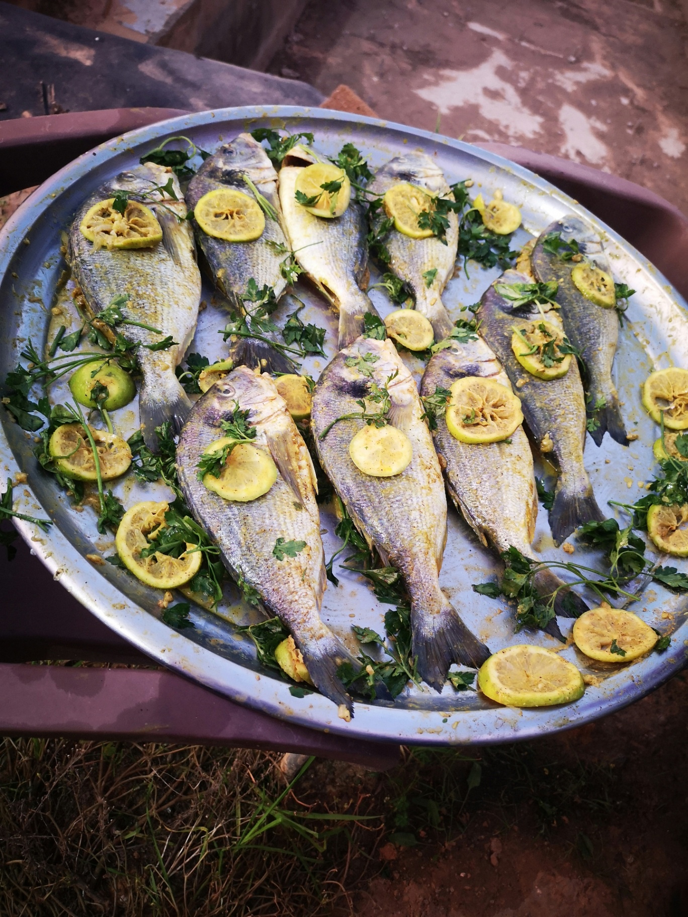 Poisson brais\u{E9} camerounais
